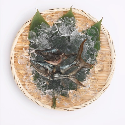 Ikan Tenggiri Kepala & Ekor